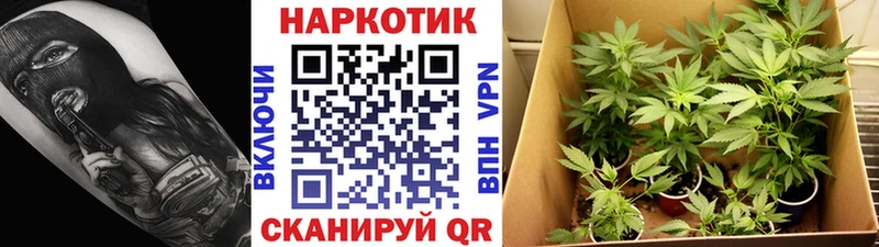 Магазины продажи наркотиков Кострома АМФ Каннабис A-PVP Гашиш Меф КОКАИН