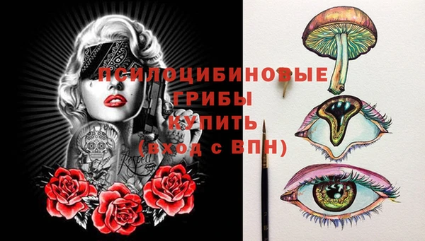 стафф Абинск