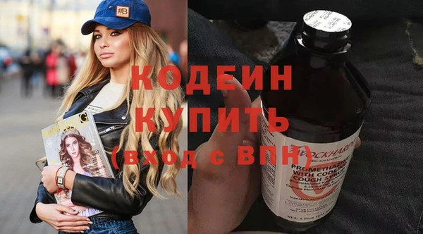 прущий лед Алзамай